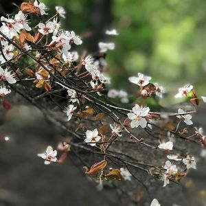 Meet your Posher, Lin